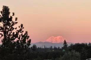 284 W Hale Rd, Winlock, WA 98596 - Photo 23