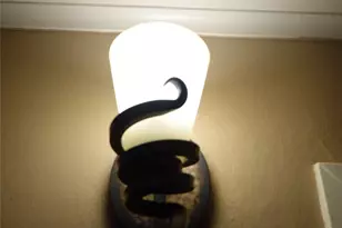 301 Linda Ln, Centralia, WA 98531 - Photo 21