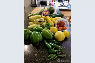 10414 SW 110th Street, Vashon, WA 98070 - Photo 35