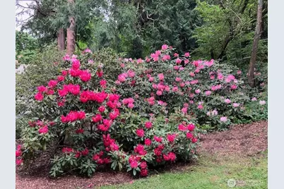 6423 Sand Point Way NE, Seattle, WA 98115 - Photo 31