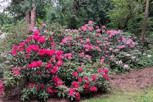 6423 Sand Point Way NE, Seattle, WA 98115 - Photo 31