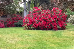 6423 Sand Point Way NE, Seattle, WA 98115 - Photo 33