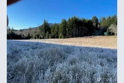 191 Mineral Road N, Mineral, WA 98355 - Photo 19