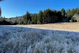 191 Mineral Rd N, Mineral, WA 98355 - Photo 19