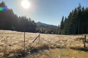 191 Mineral Rd N, Mineral, WA 98355 - Photo 23