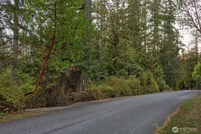 227 De Haro Lane, Friday Harbor, WA 98250 - Photo 33