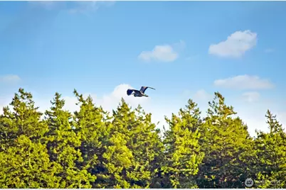 227 De Haro Lane, Friday Harbor, WA 98250 - Photo 27