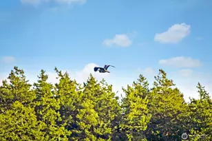 227 De Haro Ln, Friday Harbor, WA 98250 - Photo 27