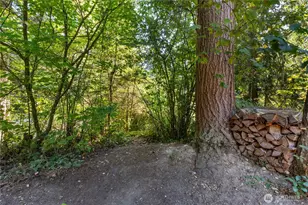 17738 N Beachside Dr SE, Yelm, WA 98597 - Photo 23