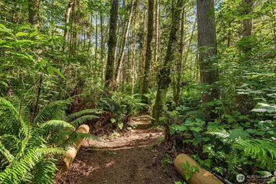 13 White Rock Lane, Port Ludlow, WA 98365 - Photo 37