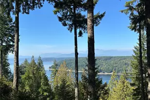 0 E Windstar Rd, Union, WA 98592 - Photo 1