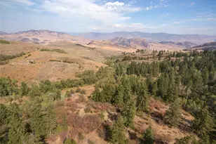 653B Ellemeham Mountain Rd, Oroville, WA 98844 - Photo 25