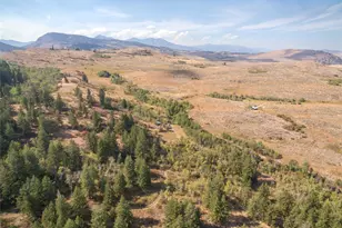 653B Ellemeham Mountain Rd, Oroville, WA 98844 - Photo 27