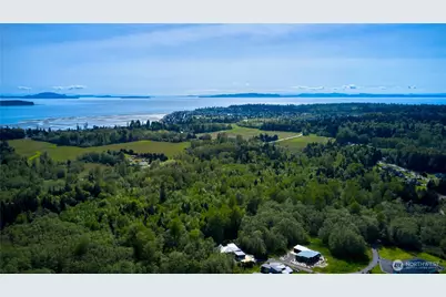 50 Acres Lincoln and Shintaffer Road, Blaine, WA 98230 - Photo 17