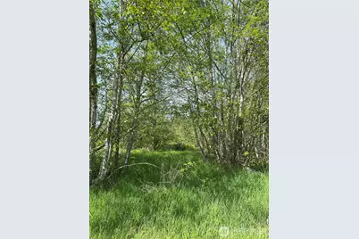 50 Acres Lincoln and Shintaffer Road, Blaine, WA 98230 - Photo 19