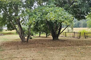 50 Lake Leland Cut-Off Rd, Quilcene, WA 98376 - Photo 11