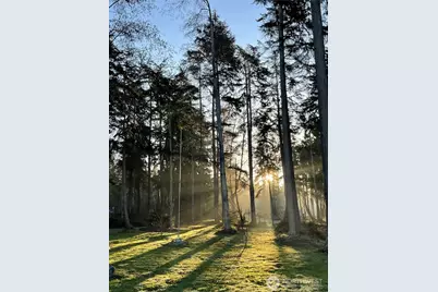 4251 Hollydale Lane, Oak Harbor, WA 98277 - Photo 35