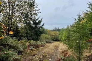 30 Acres Glenwood Road SW, Port Orchard, WA 98367 - Photo 1