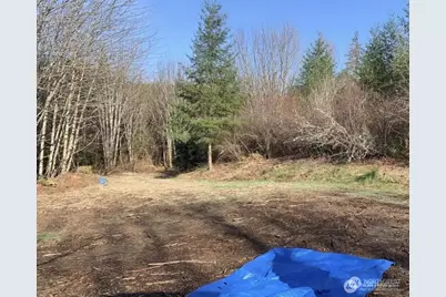 30 Acres Glenwood Road SW, Port Orchard, WA 98367 - Photo 3