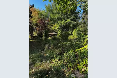 150 Anderson Road, Glenoma, WA 98336 - Photo 15