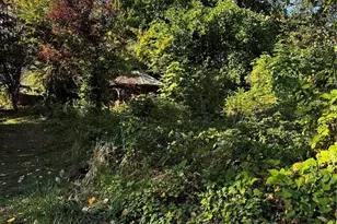 150 Anderson Rd, Glenoma, WA 98336 - Photo 15