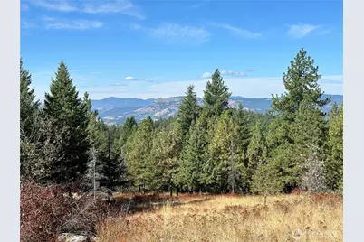 0 Sleepy Hollow Road, Curlew, WA 99118 - Photo 35