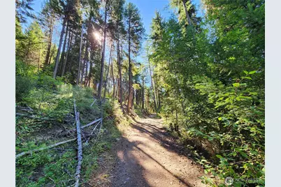 0 Sleepy Hollow Road, Curlew, WA 99118 - Photo 19