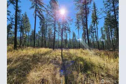 0 Sleepy Hollow Road, Curlew, WA 99118 - Photo 1