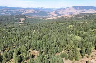 0 Sleepy Hollow Rd, Curlew, WA 99118 - Photo 23