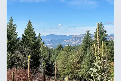 0 Sleepy Hollow Road, Curlew, WA 99118 - Photo 33