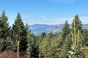 0 Sleepy Hollow Rd, Curlew, WA 99118 - Photo 33