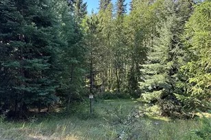 0 Sleepy Hollow Rd, Curlew, WA 99118 - Photo 37