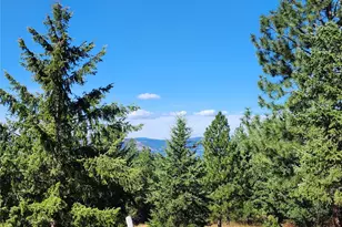 0 Sleepy Hollow Rd, Curlew, WA 99118 - Photo 15