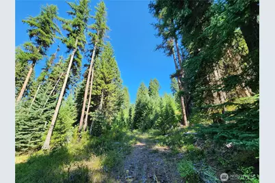 0 Sleepy Hollow Road, Curlew, WA 99118 - Photo 17