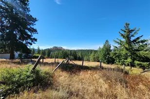 0 Sleepy Hollow Rd, Curlew, WA 99118 - Photo 13