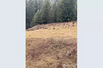 0 Lot 39 Mountain View, Oroville, WA 98844 - Photo 1
