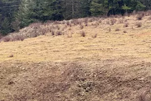 0 Lot 39 Mountain View, Oroville, WA 98844 - Photo 1