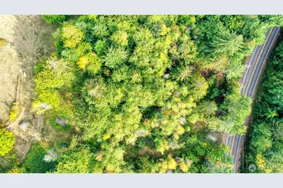 1 Xxx SE Morgan Road, Shelton, WA 98584 - Photo 5