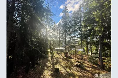 547 157th Avenue SE, Bellevue, WA 98008 - Photo 19