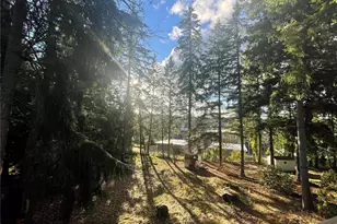 547 157th Ave SE, Bellevue, WA 98008 - Photo 19