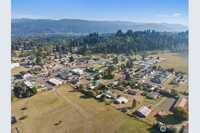 167 Meadow Lane, Mossyrock, WA 98564 - Photo 7