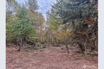 0 Mundy Loss Road E, Buckley, WA 98321 - Photo 19