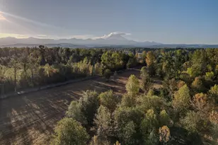 0 Mundy Loss Road E, Buckley, WA 98321 - Photo 1