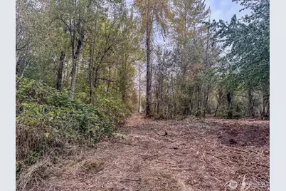 0 Mundy Loss Road E, Buckley, WA 98321 - Photo 23