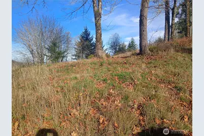 167 Wagner Road, Kelso, WA 98626 - Photo 3