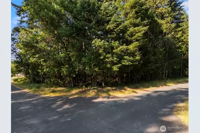 10519 Suncrest Drive, Anderson Island, WA 98303 - Photo 3