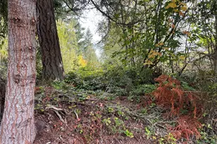 21 Camano Ln, Port Ludlow, WA 98365 - Photo 1