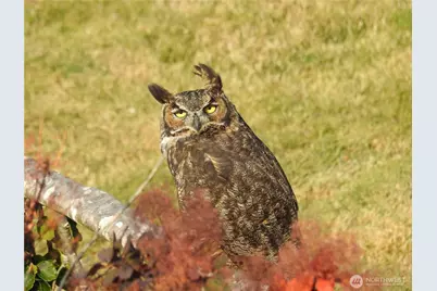 4002 Oakes Avenue, Anacortes, WA 98221 - Photo 35