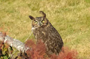 4002 Oakes Ave, Anacortes, WA 98221 - Photo 35