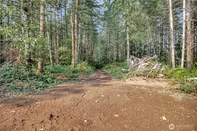 36817 Sr530 NE, Arlington, WA 98223 - Photo 35